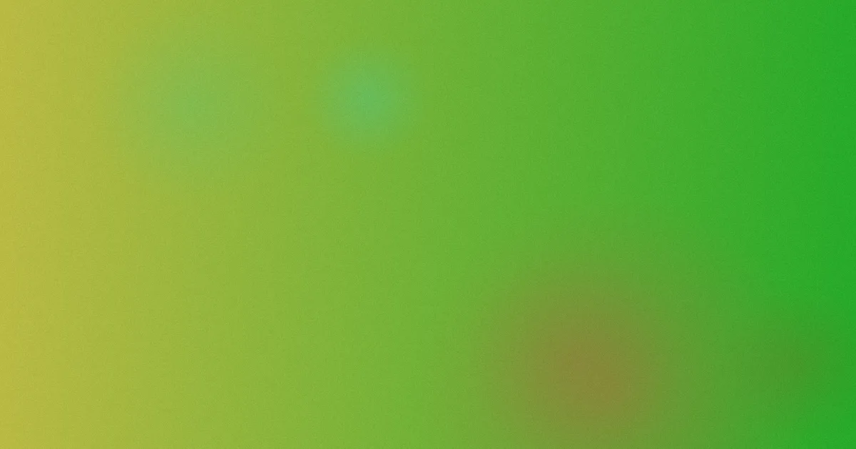 欧美干b：别硬怼词，先看流量坑